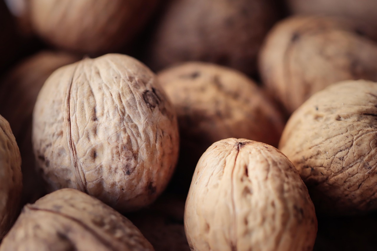 ice蓝冰爆珠:游戏代理平台源码