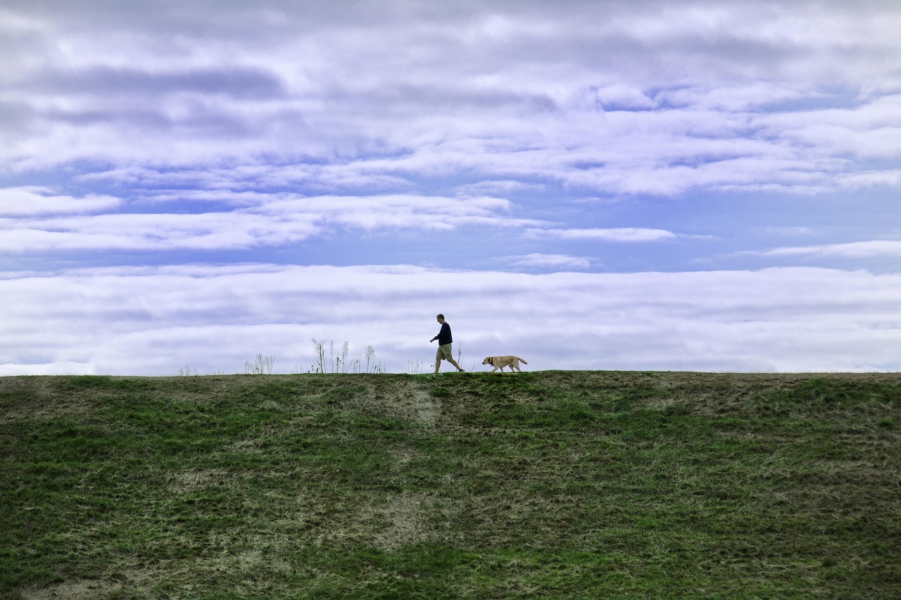 DDOS接单平台|上门服务平台代理