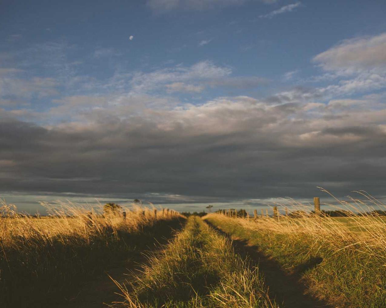 263网络通信实名账号：实名制账号：提高网络知识产权保护力度