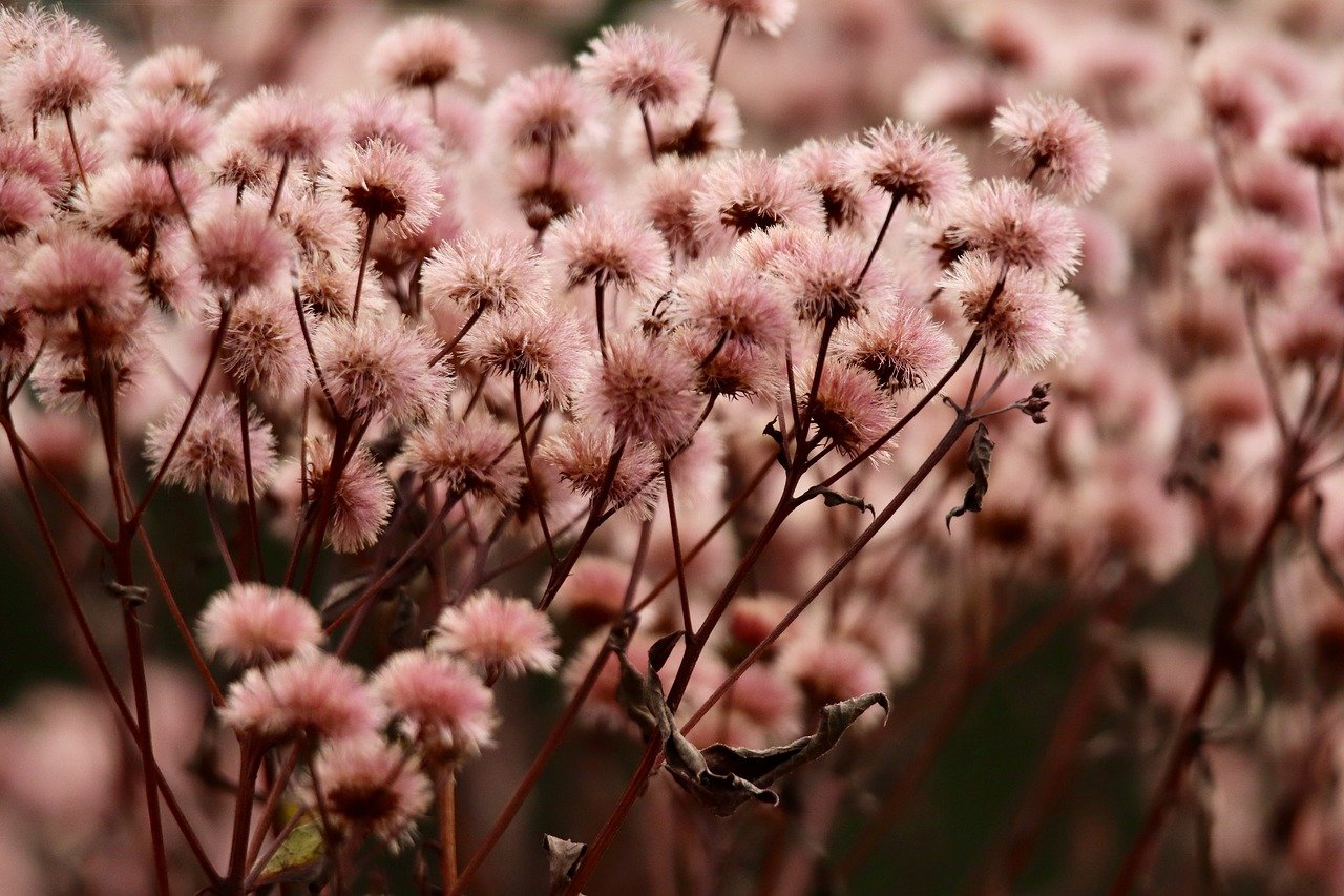 太保e卡发布代实名账号功能，保护用户个人信息