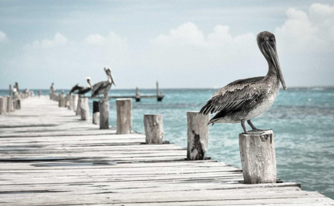 欧盟内容过滤555：个人开户的外贸平台